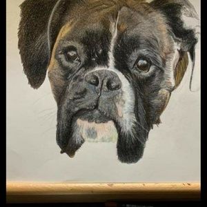 Meet your Posher, Shawn